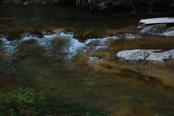dsc_0602.jpg