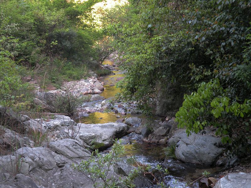 dscn2344.jpg