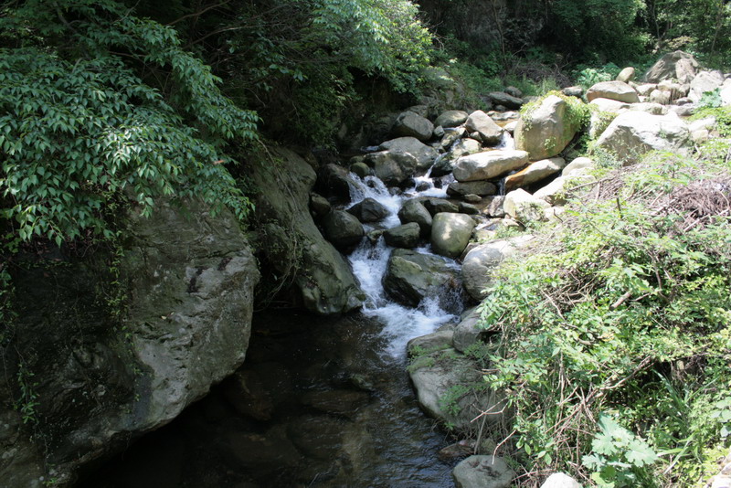 aimg_5066.jpg