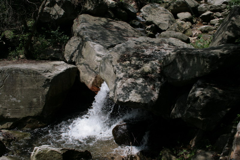 aimg_5071.jpg