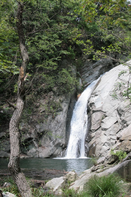 aimg_5085.jpg