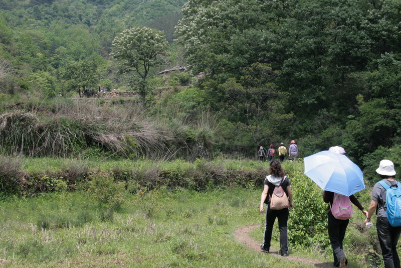 aimg_5086.jpg
