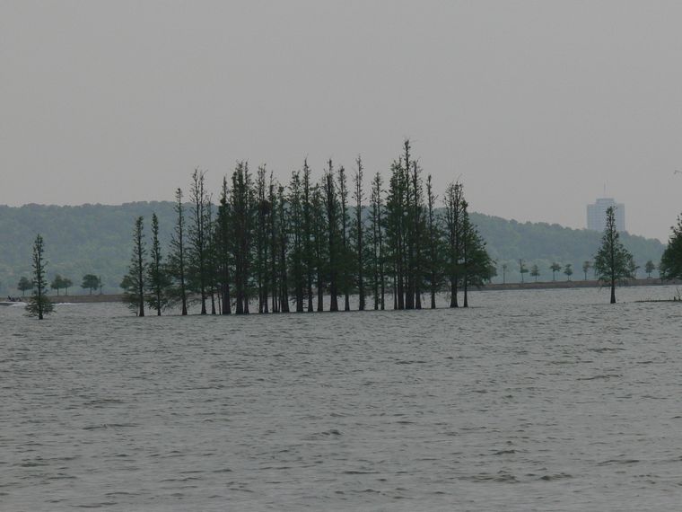 p1100178.jpg