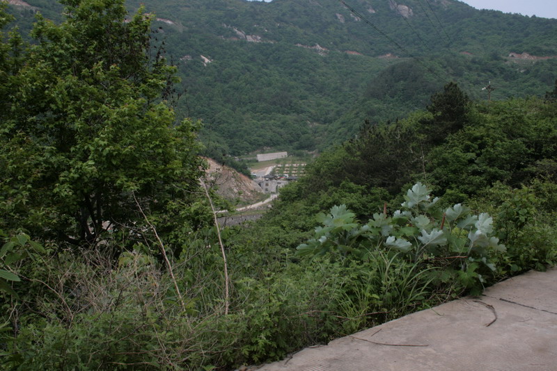 aimg_5106.jpg