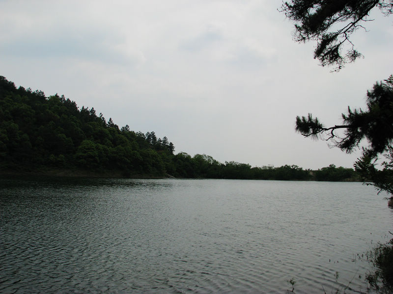 10508 011.jpg