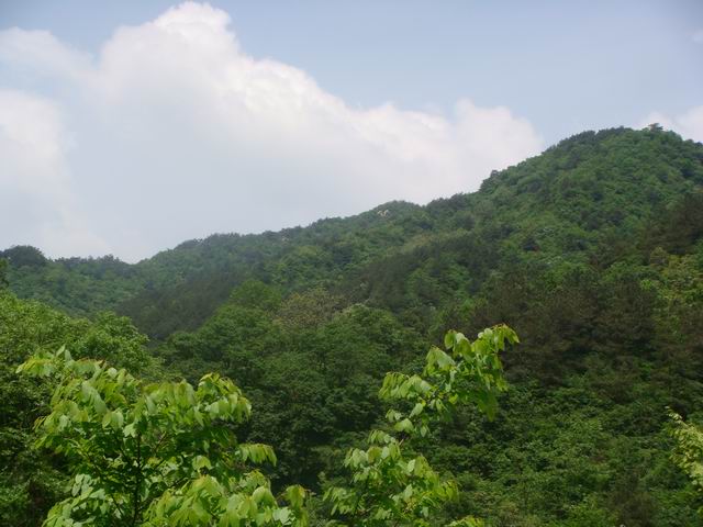 С dsc06747.jpg