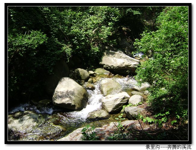 dsc07240-1.jpg