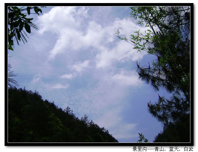 dsc07242-1.jpg