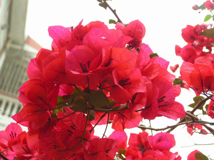 pict0923_С.jpg