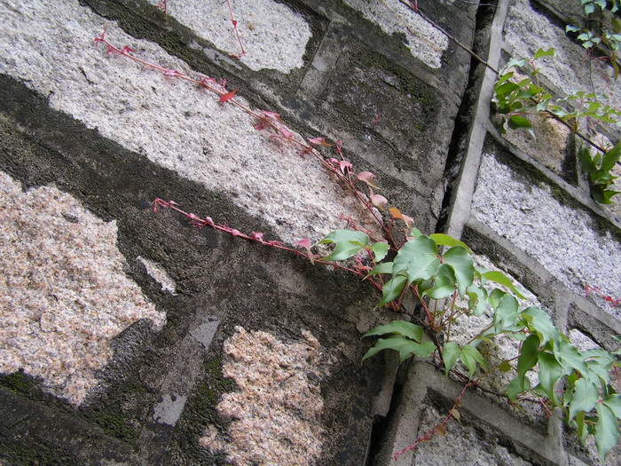 pict0945_С.jpg