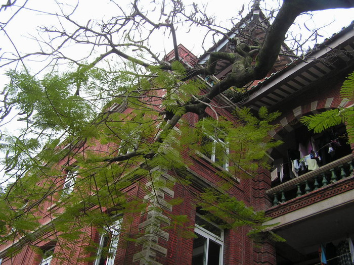 pict0950_С.jpg