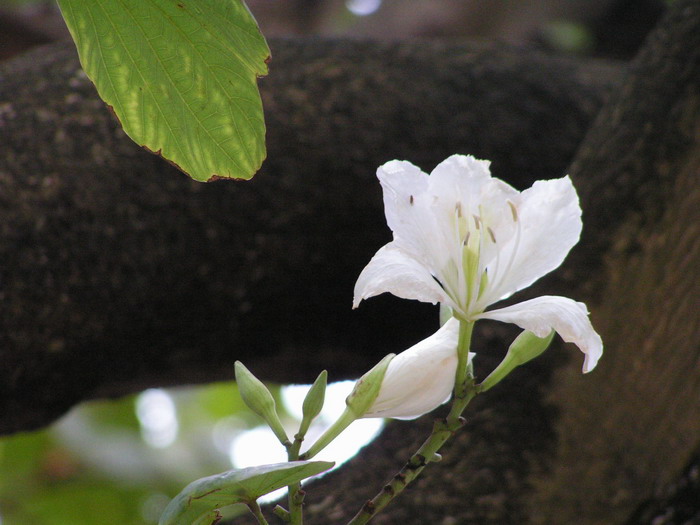 pict0961_С.jpg