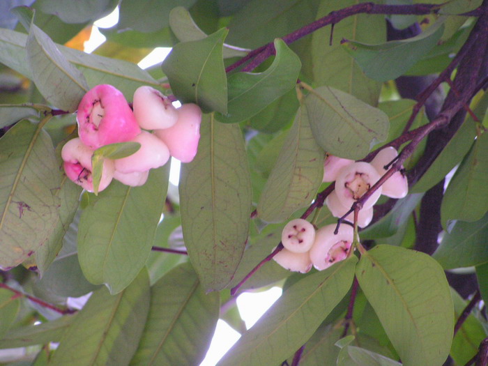 pict0969_С.jpg