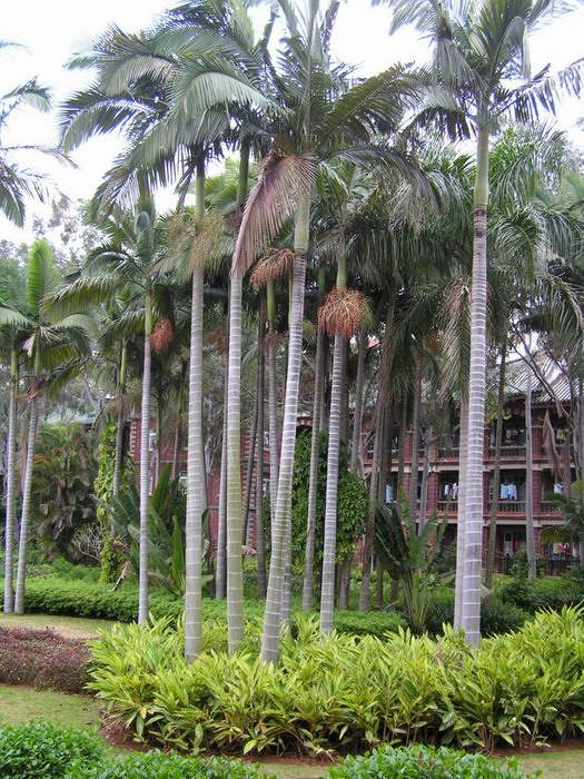 pict0957_С.jpg
