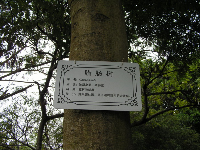 pict0989_С.jpg