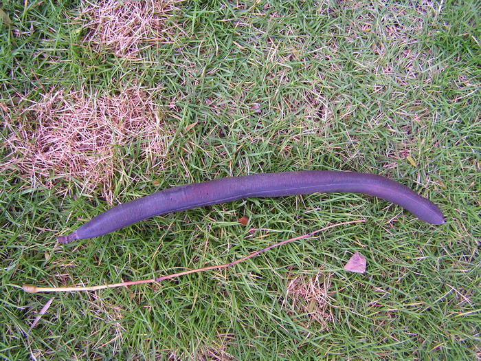 pict0990_С.jpg