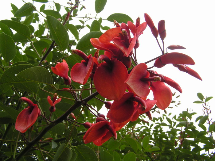 pict0995_С.jpg