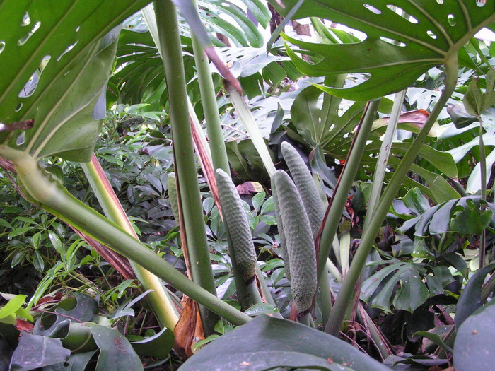 pict1007_С.jpg