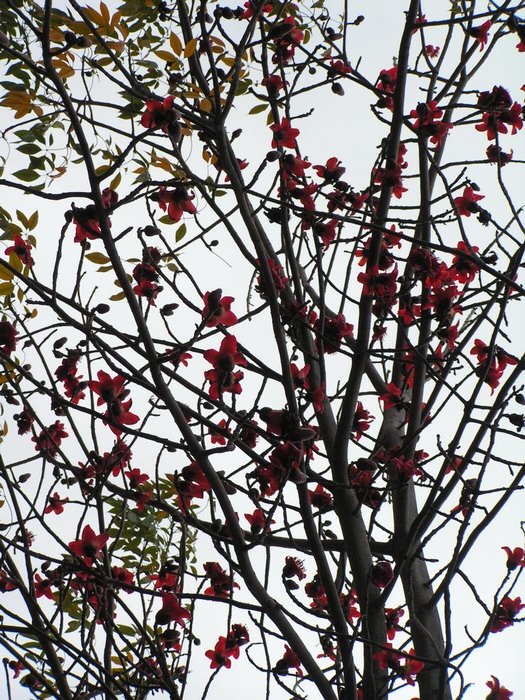 pict1026_С.jpg