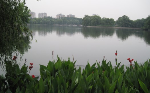 01.jpg