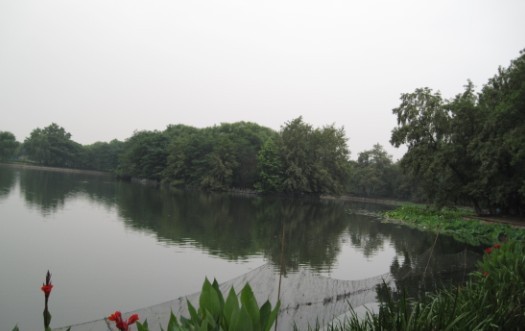 02.jpg