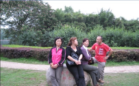 06.jpg