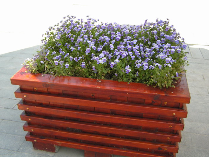 pict0021_С.jpg