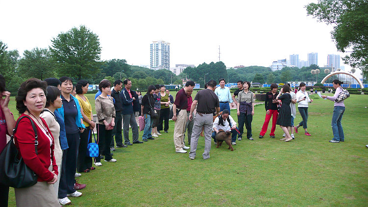 p1070106.jpg