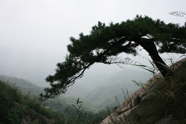 Ƭ 026.jpg