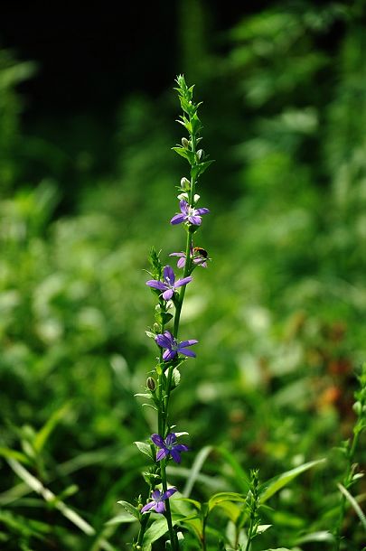 dsc_1940.jpg