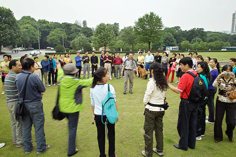 sdim0120.jpg