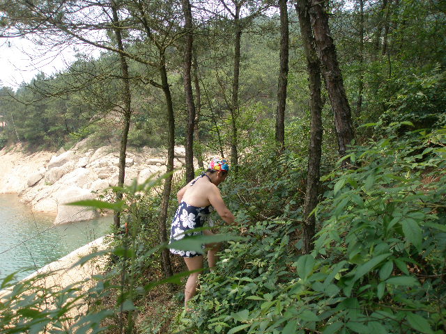p5300106.jpg