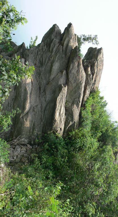 p1100641.jpg