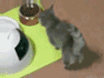 61e44a60x88a7d32d9816&690.gif
