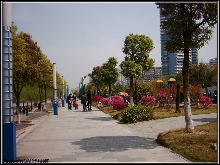 dsci0066.jpg