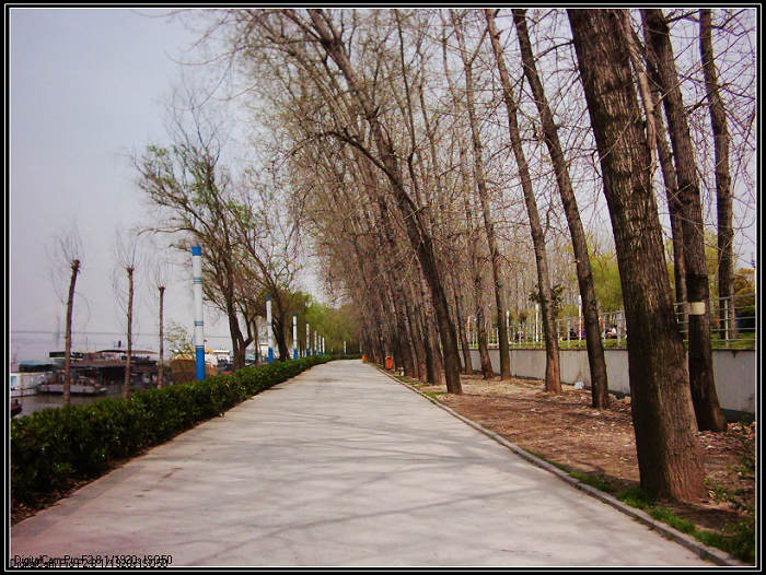 dsci0084.jpg