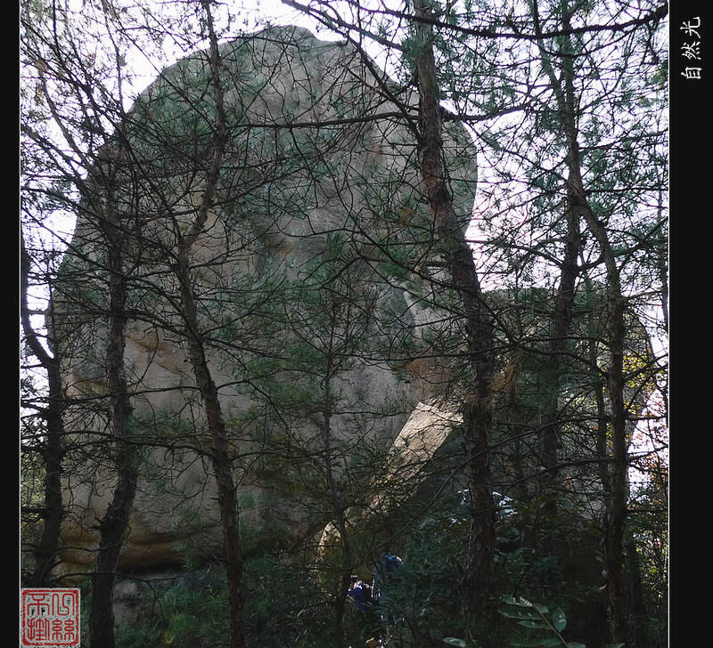 l1080061.jpg