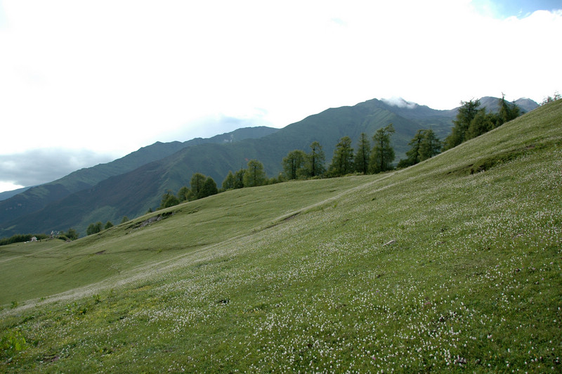 dsc_7373.jpg