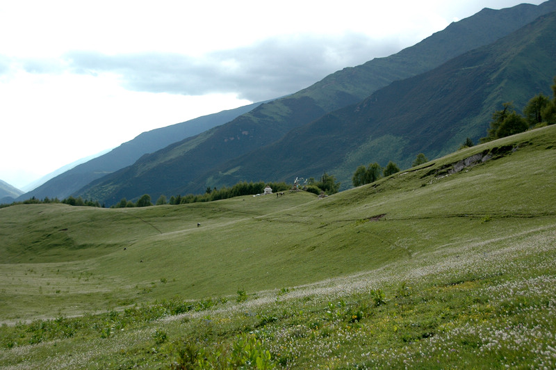 dsc_7375.jpg