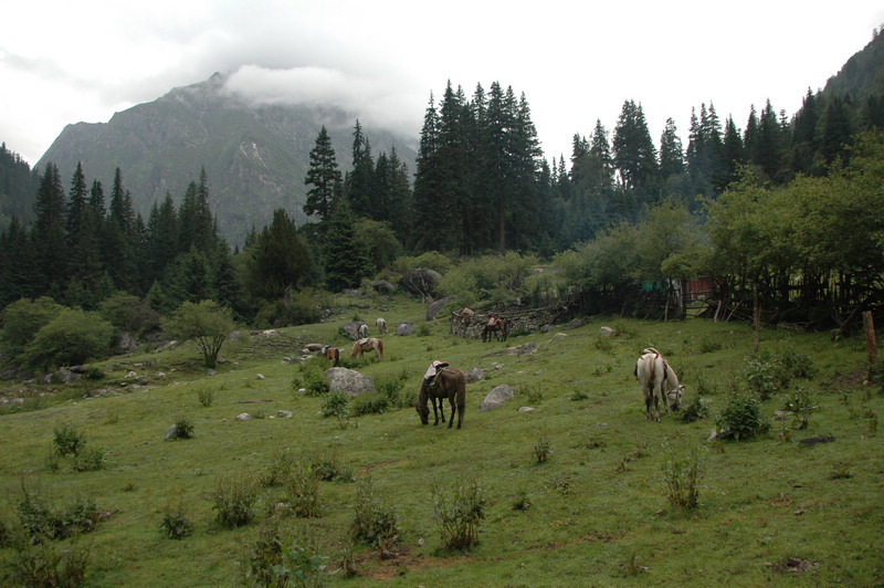 dsc_7477.jpg