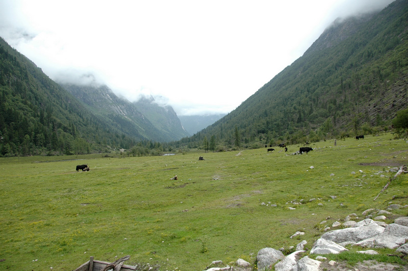 dsc_7496.jpg