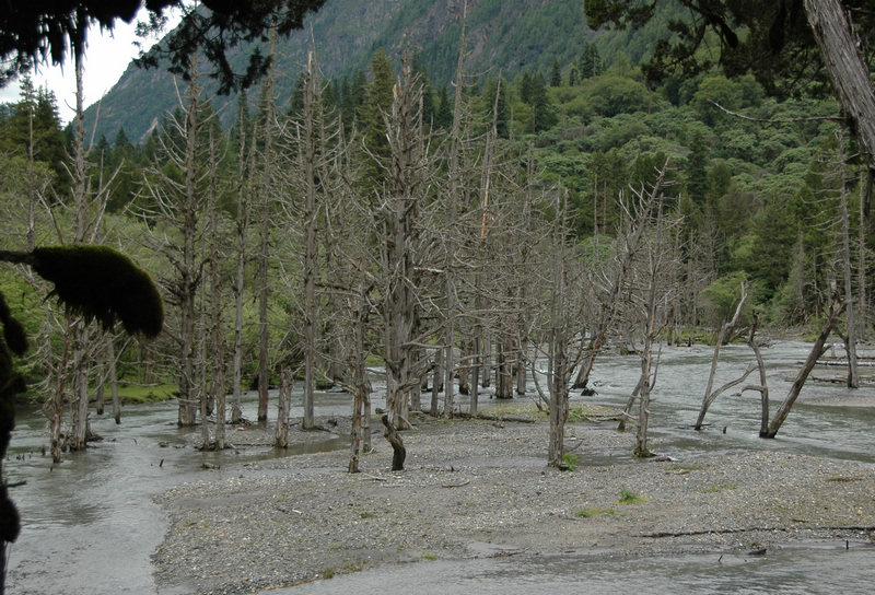 dsc_7587.jpg
