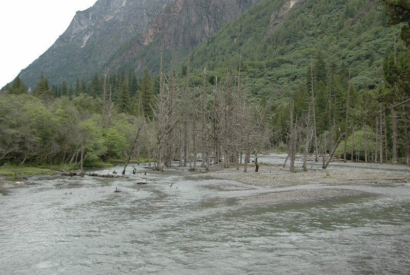 dsc_7589.jpg
