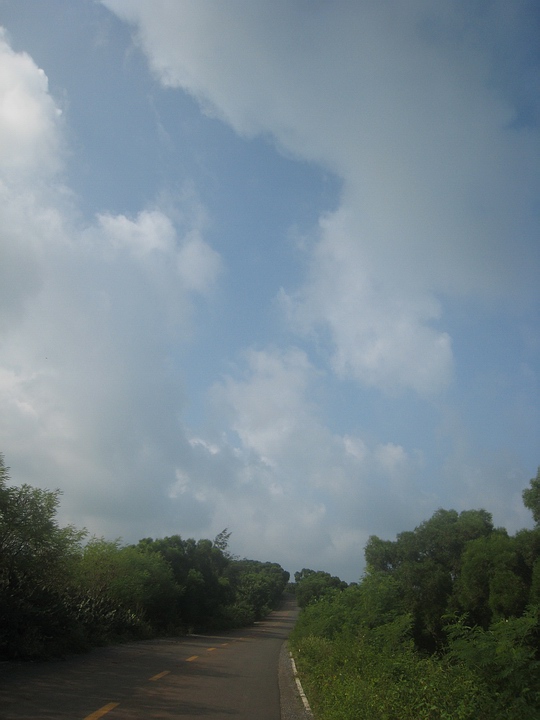 Ƭ 006.jpg