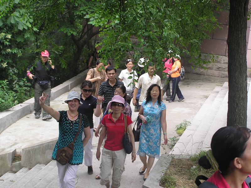 p1010056.jpg