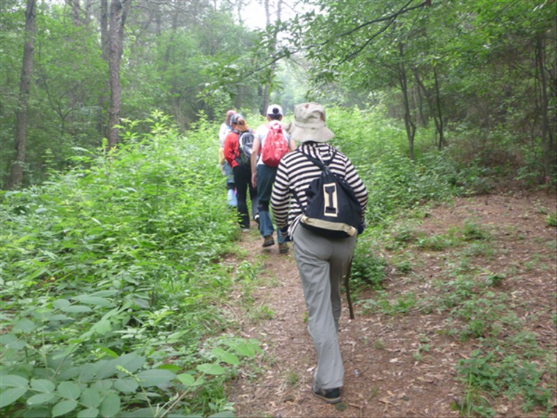 p1010270_.jpg