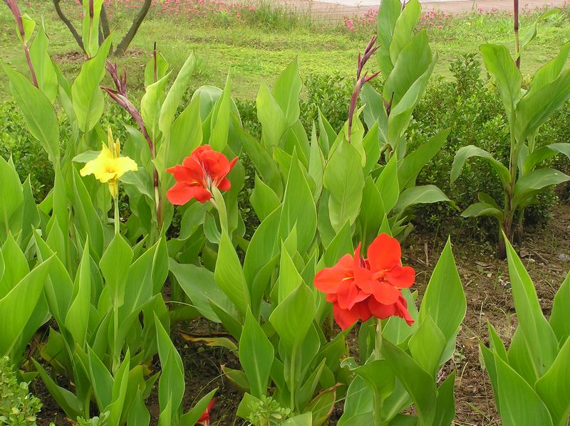 p1010110.jpg