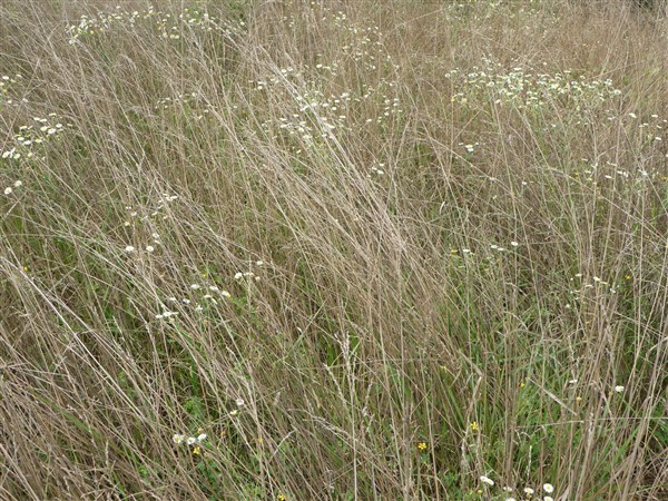 p1010291_.jpg