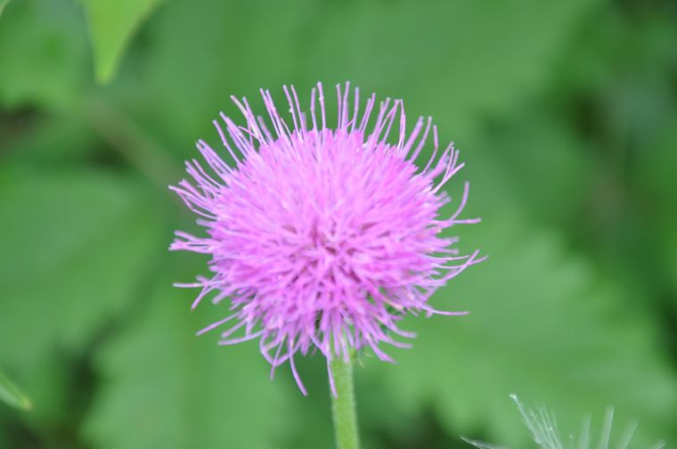 dsc_0152.jpg