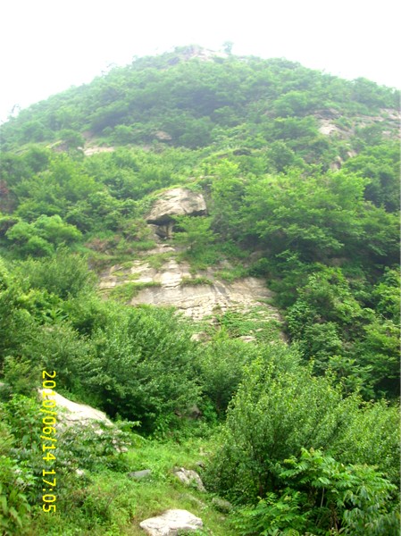img_0303.jpg